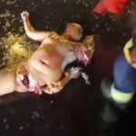 Someone dumped dismembered naked woman on road