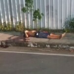 Bloody end of young gangster's career