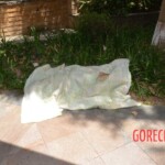 Discovery of Chinese woman's body