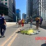 Female student died in head-on collision with ambulance