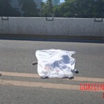 Female student died in head-on collision with ambulance