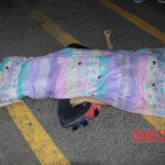 Found dead in the middle of road