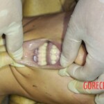 Found dead in the middle of road