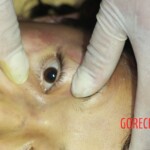 Found dead in the middle of road