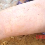 Initial examination of drowned Chinese woman