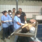 Morgue staff training