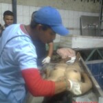 Morgue staff training