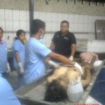 Morgue staff training