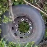 Mother and daughter killed by detached bus wheel
