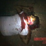 Telma de Jesus Araújo Cardoso