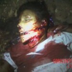 Telma de Jesus Araújo Cardoso