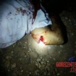 Telma de Jesus Araújo Cardoso