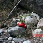 Raped and thrown off cliff