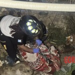 Two bodies with signs of strangulation found dumped in ditch