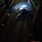 Woman died in scooter crash