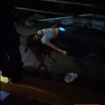 Woman died in scooter crash