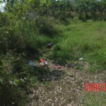 Woman found in state of decomposition with signs of sexual violence