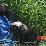 Woman found in state of decomposition with signs of sexual violence