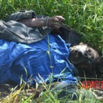 Woman found in state of decomposition with signs of sexual violence