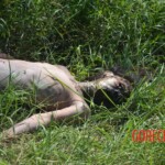 Woman found in state of decomposition with signs of sexual violence