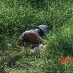 Woman found in state of decomposition with signs of sexual violence