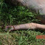 Woman found in state of decomposition with signs of sexual violence