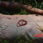 Woman found in state of decomposition with signs of sexual violence