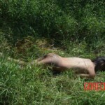 Woman found in state of decomposition with signs of sexual violence