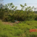 Woman found in state of decomposition with signs of sexual violence