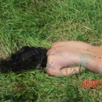 Woman found in state of decomposition with signs of sexual violence