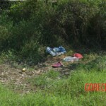 Woman found in state of decomposition with signs of sexual violence