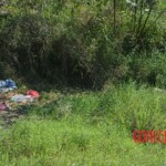 Woman found in state of decomposition with signs of sexual violence