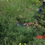 Woman found in state of decomposition with signs of sexual violence