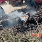 Woman fried after coming into contact with high voltage