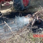 Woman fried after coming into contact with high voltage