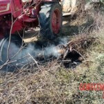 Woman fried after coming into contact with high voltage