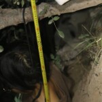 Young Chinese woman found hanged in forest