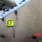 Young Italian woman killed by pack of shepherd dogs