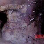 Young woman found in advanced stage of decomposition