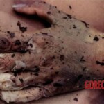 Young woman found in advanced stage of decomposition