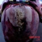 Young woman found in advanced stage of decomposition