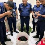 8-year-old girl found headless on floor of apartment