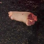 Cartel dismembered police officer and hung his body from bridge
