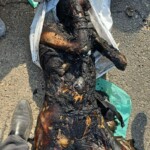 Charred bodies of Israelis from Hamas attack in October 2023