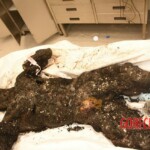 Charred bodies of Israelis from Hamas attack in October 2023