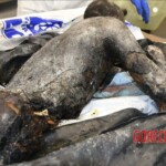 Charred bodies of Israelis from Hamas attack in October 2023