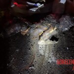 Charred bodies of Israelis from Hamas attack in October 2023