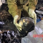 Charred bodies of Israelis from Hamas attack in October 2023
