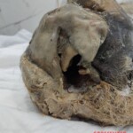 Charred bodies of Israelis from Hamas attack in October 2023