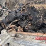 Charred bodies of Israelis from Hamas attack in October 2023